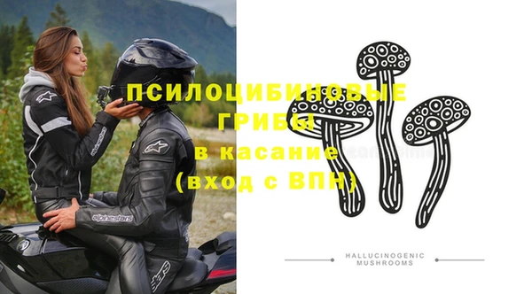 дмт Нязепетровск